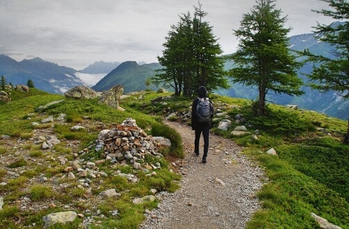 walking the camino